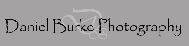 login header